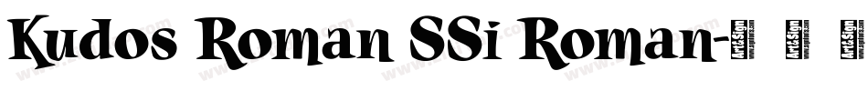 Kudos Roman SSi Roman字体转换